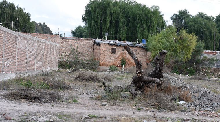 Foto: Alf Ponce / MDZ