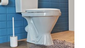 Adiós a la escobilla de cerdas. Foto: Shutterstock Adiós a la escobilla de cerdas. Foto: Shutterstock