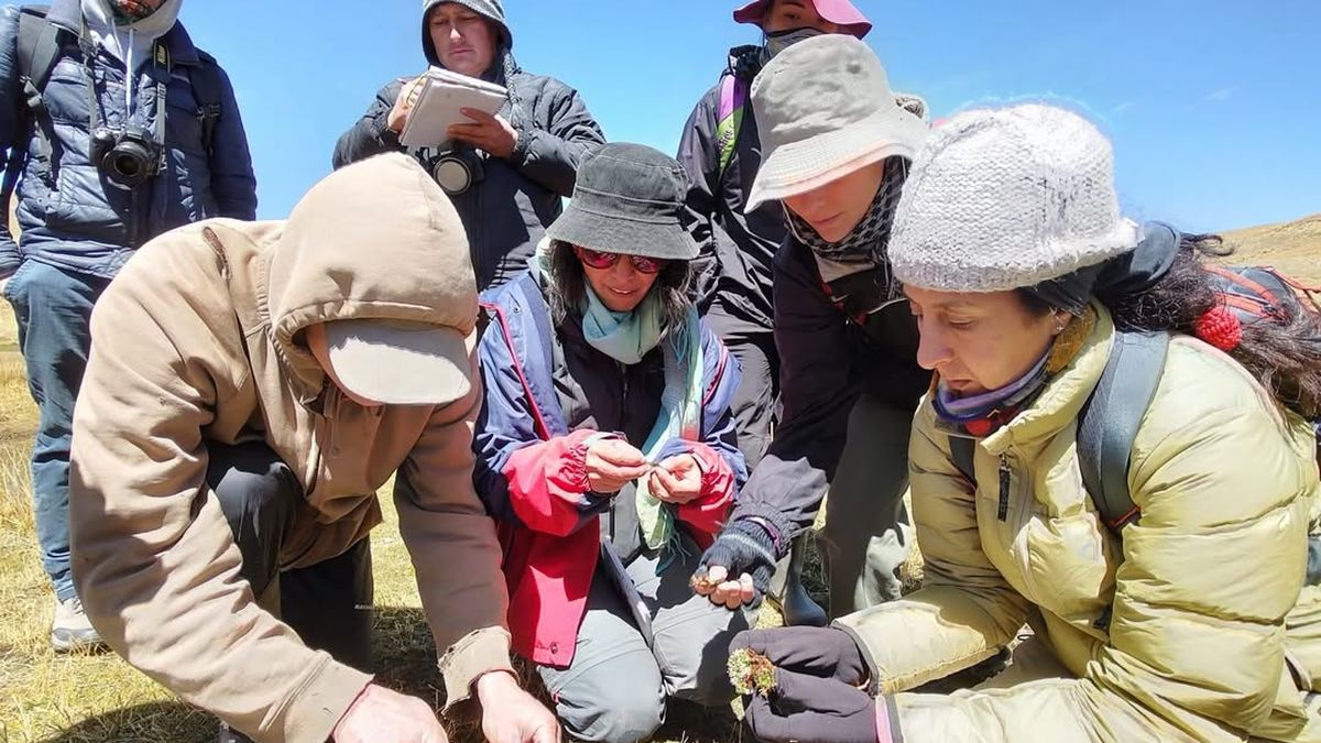 Quién es la científica argentina que sorprendió al mundo: es una de las mentes más brillantes