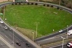 La víctima sería un prestamista.  Foto: X