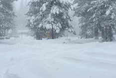 Una avalancha registrada este martes en el norte de California dejó a varios esquiadores de montaña desaparecidos. Una avalancha registrada este martes en el norte de California dejó a varios esquiadores de montaña desaparecidos.
