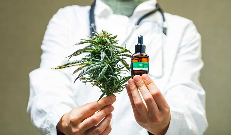 La modificación de la ley permitirá un autocultivo controlado de cannabis medicinal