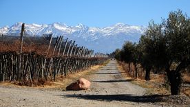 La oferta de trabajo incluye varios puestos disponibles. La oferta de trabajo incluye varios puestos disponibles.