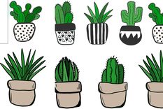 Cactus El cactus  es una familia de plantas originarias de América. Sin embargo, hay una excepción, Rhipsalis baccifera, que está extendida en África tropical, Madagascar y Ceilán. Foto: Pixabay - pixabay.com