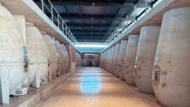 La bodega decidió apostar por la construcción de un nuevo edificio para sus vinos naturales. La bodega decidió apostar por la construcción de un nuevo edificio para sus vinos naturales.