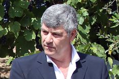 Cómo va a distribuir Nación los $7.100 millones para la producción