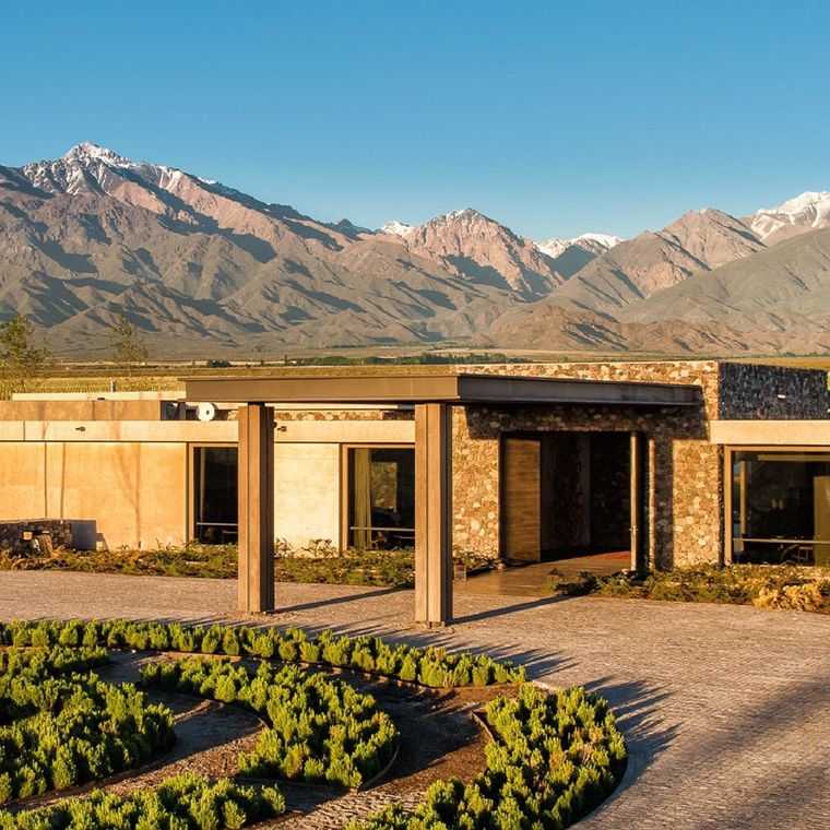 Mendoza ya forma parte de la Guía Michelin Foto: The Vines