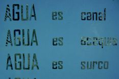 Foto: Gentileza