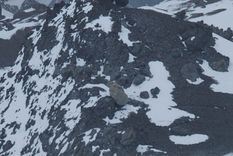 Parte del rescate. Foto: Ministerio de Seguridad. Parte del rescate. Foto: Ministerio de Seguridad.