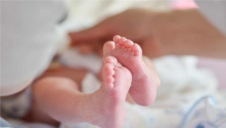 Anses paga la Asignación por Embarazo para acompañar a las personas embarazadas que más lo necesitan, durante toda su gestación Foto: Imagen ilustrativa / Freepik Anses paga la Asignación por Embarazo para acompañar a las personas embarazadas que más lo necesitan, durante toda su gestación Foto: Imagen ilustrativa / Freepik