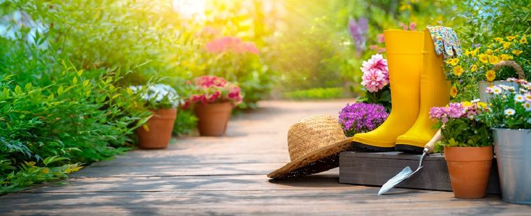 JARDÍN Foto: SHUTTERSTOCK