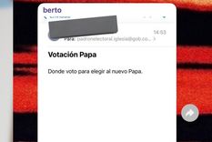 La historia fue compartida por la usuaria @trini712_  en X, allí la joven mostró captura de los chats donde le hicieron creer a Berto que había que votar para elegir al nuevo Papa. Foto: Captura de X @trini712_