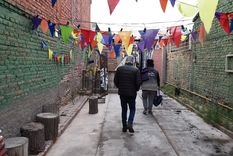 Gran golpe para la cultura mendocina Foto: ALF PONCE MERCADO / MDZ