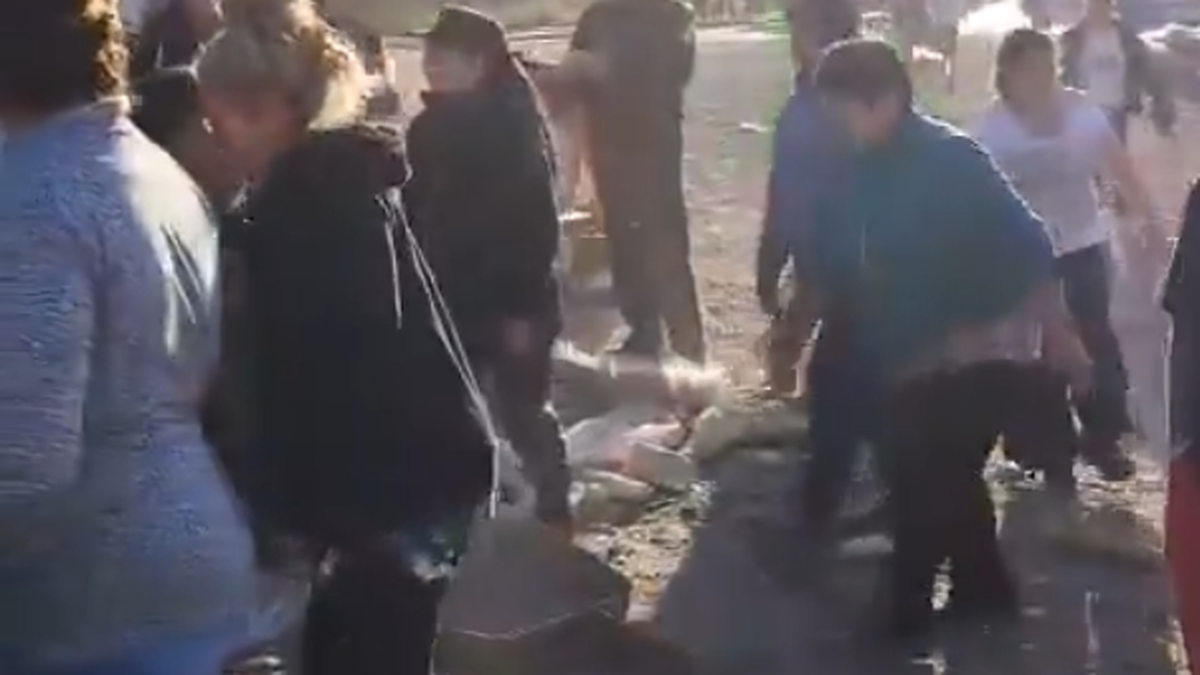 Un camión cargado de pollos congelados volcó en Neuquén y los vecinos se llevaron el cargamento