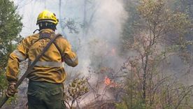 Los bolberos voluntarios trabajan a lo largo de todo el país y son la columna vertebral del manejo del fuego. Los bolberos voluntarios trabajan a lo largo de todo el país y son la columna vertebral del manejo del fuego.