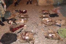 Todas las liebres secuestradas