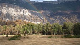 Este viernes, anunciaron el inicio de la reapertura de los servicios turísticos en Los Alerces. Este viernes, anunciaron el inicio de la reapertura de los servicios turísticos en Los Alerces.