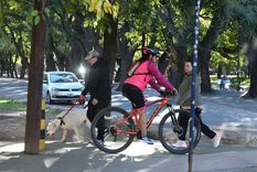 Foto: Santiago Tagua/MDZ