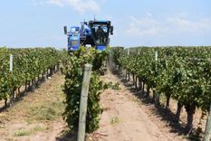 En diciembre de 2024 se importaron alimentos por la suma de US$242 millones Foto: MDZ