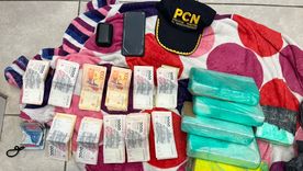 La sospechosa fue detenida en la terminal de omnibus de San Martín con varios kilos de estupefacientes. La sospechosa fue detenida en la terminal de omnibus de San Martín con varios kilos de estupefacientes.