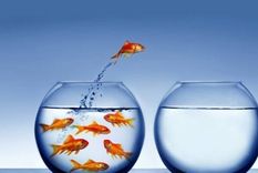 conoce las claves para desarrollar una actitud innovadora