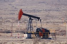 Nuestro recursos son interminables. Foto: MDZ