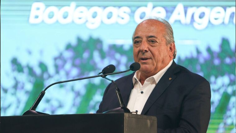 El titular del organismo, Walter Bressia. Foto: Bodegas de Argentina