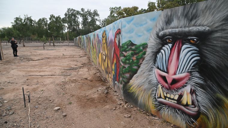 Un gran mural divide la zona abierta al público de la reservada para los mil animales que viven en el Ecoparque. Un gran mural divide la zona abierta al público de la reservada para los mil animales que viven en el Ecoparque.