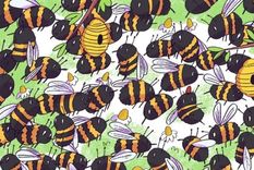 Acertijo visual, reto visual, oso Pinterest Foto: Pinterest