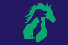 Test de personalidad