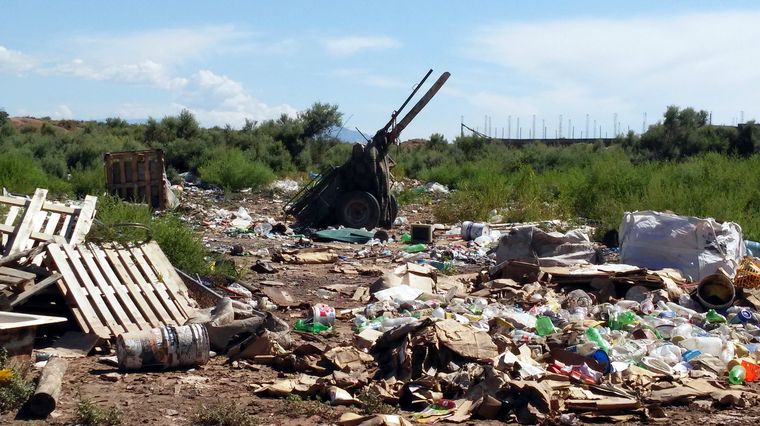 Foto: Ulises Naranjo.