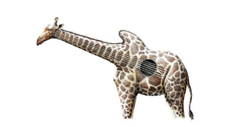 Test de personalidad Foto: Redmer Hoekstra