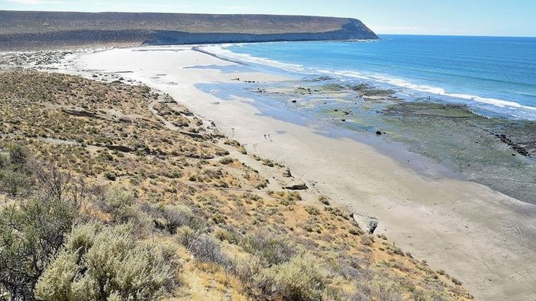 Pese al estado en que la encontraron, la mujer manifestó no querer realizar la denuncia