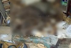 El galpón donde fue hallado el cuerpo en una casa de Morón, en la provincia de Buenos Aires Foto: NA