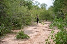 Esta joya natural se ubica en la provincia de Chaco