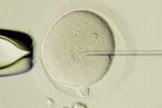 nuevas vidas podrian ser concebidas