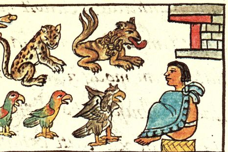 Los animales eran parte importante de la relación de los mexicas (o aztecas) con el universo.