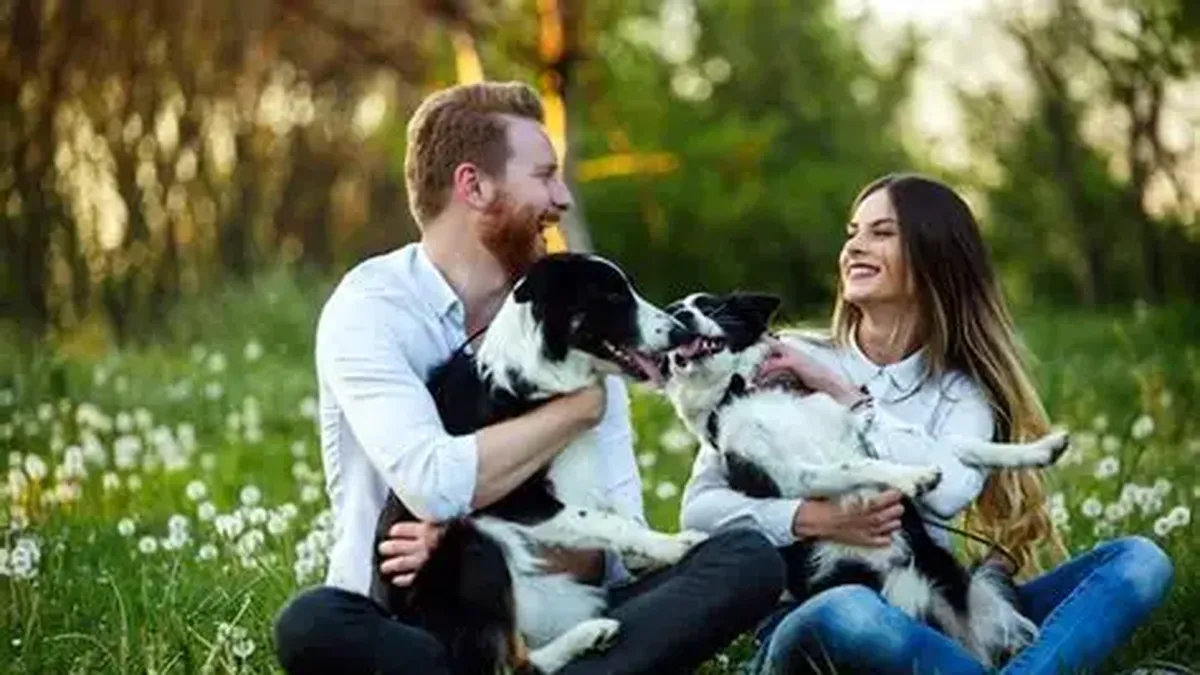 Cómo son las personas que aman a los perros, según la psicol