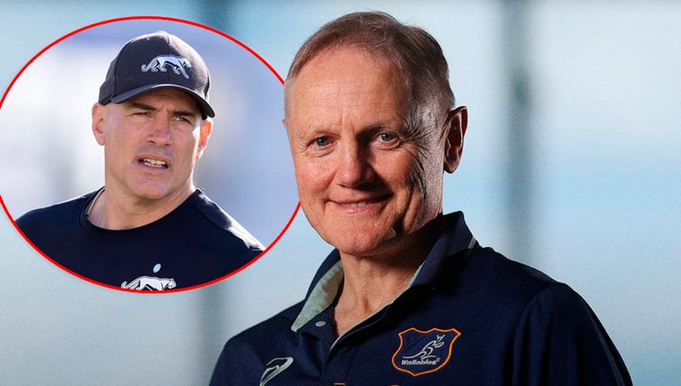 Joe Schmidt habló sobre Felipe Contepomi y el presente de Los Pumas.