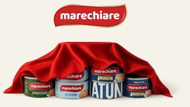 mar del plata: cerro la empresa de conservas marechiare y despidio a 50 empleados mar del plata: cerro la empresa de conservas marechiare y despidio a 50 empleados
