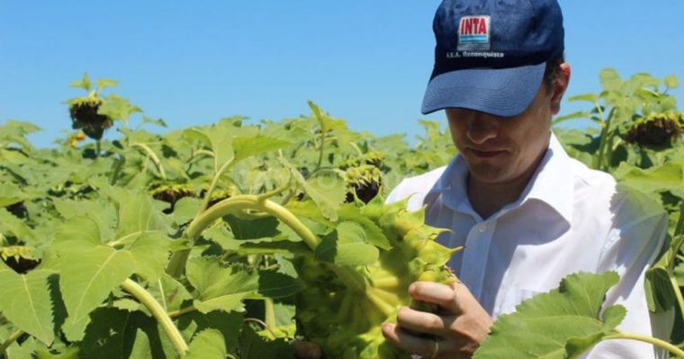 La falacia destructiva del Estado empleador lo convirtió en centros de empleo militante La falacia destructiva del Estado empleador lo convirtió en centros de empleo militante