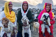 Tres de las últimas pastoras Wakhi: Sakina (izquierda), Thai Bibi (centro) y Annar (derecha). Foto: TASEER BEYG