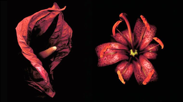 Foto: taschen.com / Edvard Koinberg