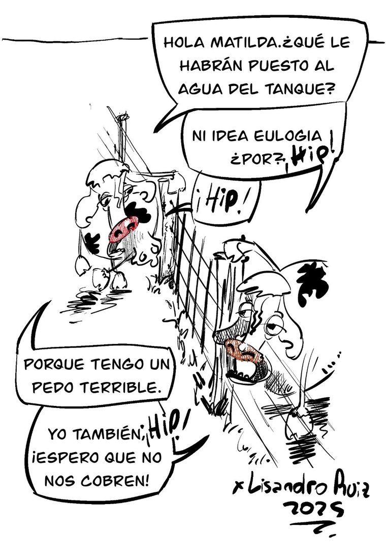 Ningún algoritmo equivale a nuestra vida personal. Ningún algoritmo equivale a nuestra vida personal.