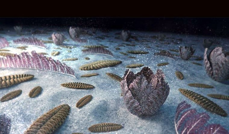 Recreación de los fondos marinos hace 500 millones de años. Foto: Dpa.