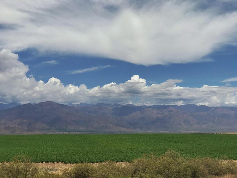 Foto: Alejandrina Zotelo