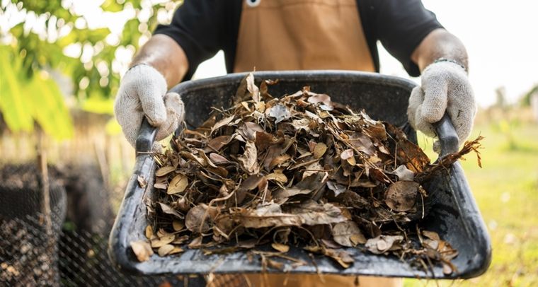 Las hojas secas son un gran elemento para el jardín. Foto: Shutterstock