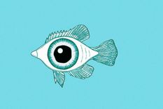 Test de personalidad