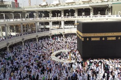 MDZol | Foto: Pixabay