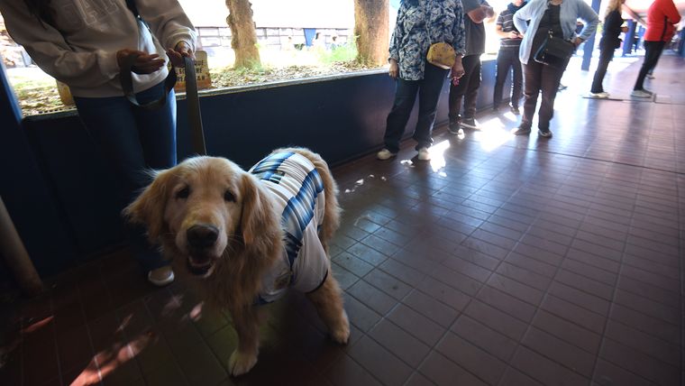Enriqueta esperó tranquila en la fila mientras María Laura votaba.&nbsp;